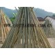 Bamboo Stakes Materials